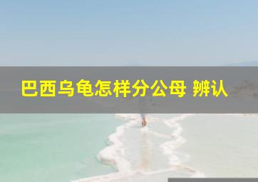 巴西乌龟怎样分公母 辨认